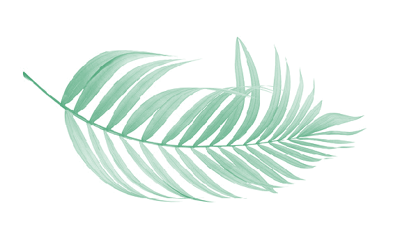 ABS New Logo Fern Only-No BG 2